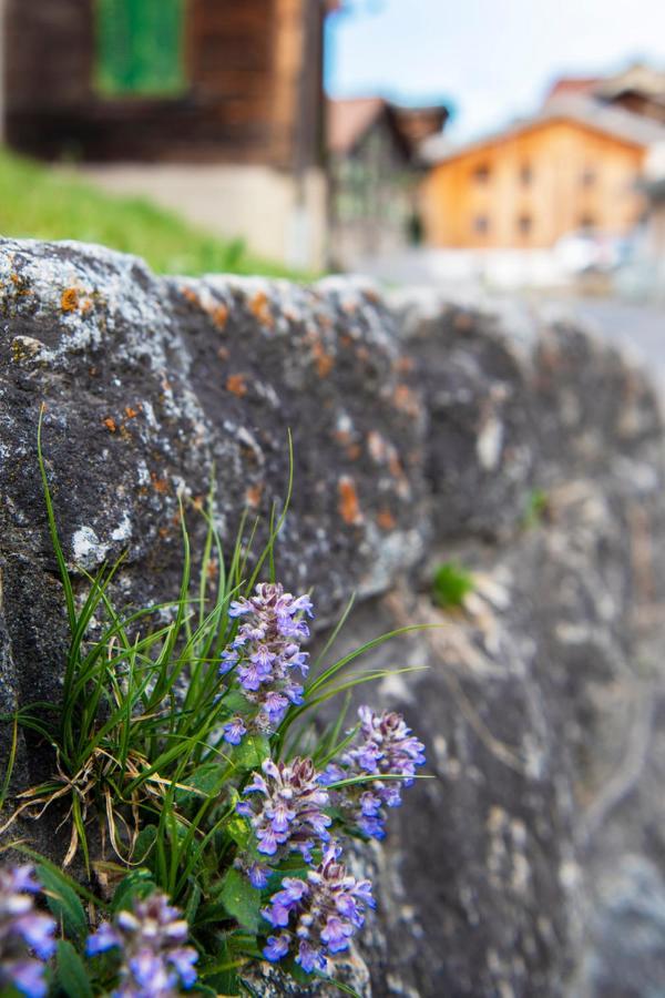Casa Pasch - Boutique Bed And Breakfast In Cumpadials Sumvitg エクステリア 写真